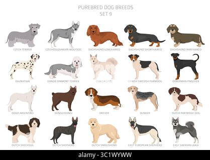 Collection de toutes les races de chiens. Collection en 28 sets. Image réaliste de races de chiens avec différentes couleurs de pelage. Illustration vectorielle Illustration de Vecteur