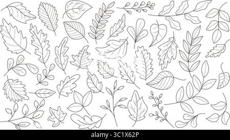 Feuilles d'automne définies style croquis de doodle. Ligne noire silhouette feuillage de différents arbres. Collection de contour de feuille de chute, éléments vectoriels Illustration de Vecteur
