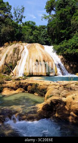 Célèbres cascades d'Agua Azul au Chiapas, Mexique avec de l'eau turquoise et une végétation tropicale luxuriante Banque D'Images