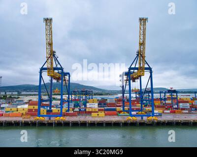 Belfast, Royaume-Uni - 15 juin 2025 : de majestueuses grues surplombent des conteneurs maritimes colorés au port de Belfast, face à un ciel nuageux. Banque D'Images