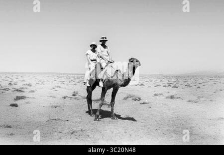 WW2 Soldats Luftwaffe monté sur un chameau en Afrique du Nord Banque D'Images