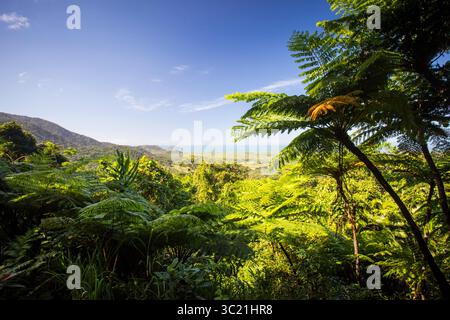 1 juillet 2016 - la vue depuis le belvédère du mont Alexandra dans la région de Daintree vers la Grande barrière de corail et la mer de Corail par une journée d'hiver ensoleillée dans le Queensland, en Australie (crédit image : © Chris Putnam/ZUMA Wire) Banque D'Images