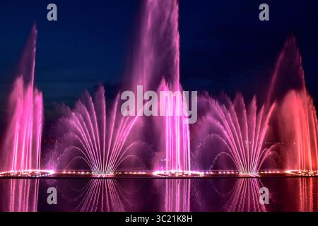 10 avril 2019 - Cachemire, J&K, Inde - Une vue générale de la fontaine d'eau musicale illuminée à Srinagar, au Cachemire..le spectacle de la fontaine musicale et du laser a été ouvert aujourd'hui sur les rives du lac Dal à Srinagar. L'installation est venue au prix de Rs 6 crores. L’entrée au spectacle sera gratuite pour les 15 prochains jours, ont déclaré les responsables. (Crédit image : © Saqib Majeed/SOPA images via ZUMA Wire) Banque D'Images