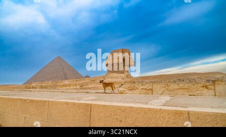 Le Grand Sphinx et la pyramide de Khoufou à Gizeh, le Caire, Egypte Banque D'Images