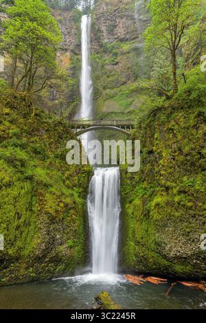 Chutes de Multnomah - vertical - Une vue verticale complète des chutes rugissantes de Multnomah, avec le pont de Multnomah Creek traversant au milieu, un jour de printemps orageux. Banque D'Images
