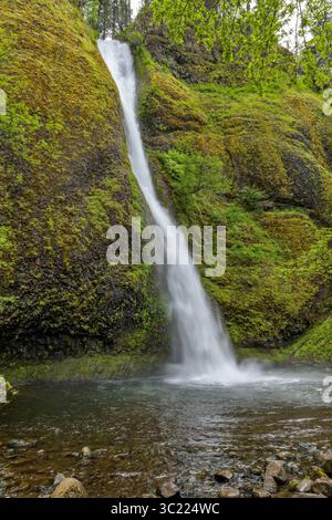 Horsetail Falls - Une vue verticale complète des chutes Horsetail Falls rugissantes par un jour de printemps orageux. Columbia River gorge, Oregon, États-Unis. Banque D'Images