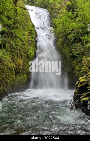 Bridal Veil Falls - Une vue complète verticale des chutes rugissantes Bridal Veil Falls un jour de printemps orageux. Columbia River gorge, Oregon, États-Unis. Banque D'Images