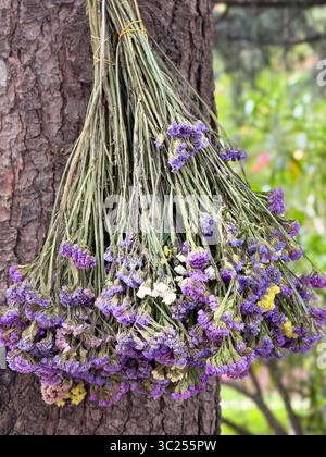 Paquet de fleurs sauvages séchées sur Tree Trunk.Rustic Botanical Still Life Banque D'Images