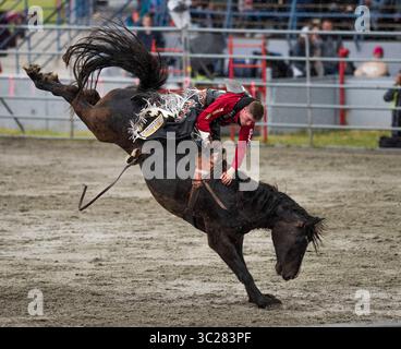 20 mai 2019 - Surrey, Colombie-Britannique, Canada - PASCAL ISABELLE ...