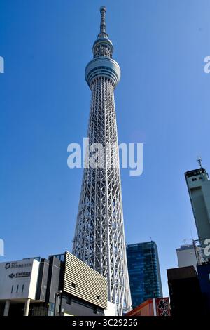 17 mars 2019 - Tokyo, Japon - radiodiffusion, restaurant et tour d'observation. Sumida, Tokyo, Japon. (Crédit image : © Martha Barreno/Vwpics/VW pics via ZUMA Wire) Banque D'Images
