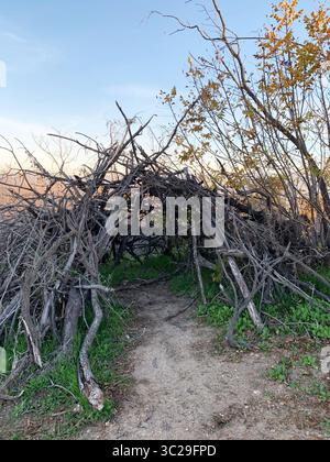 Abri rustique en branche à côté d'une randonnée sous un ciel bleu sur un sentier naturel à Wilacre Park, Santa Monica Mountains à Los Angeles, Californie, États-Unis. Banque D'Images