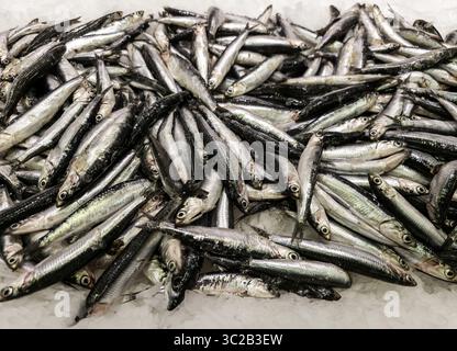 Détail de poisson frais à vendre dans un marché sur une rue en Espagne Banque D'Images