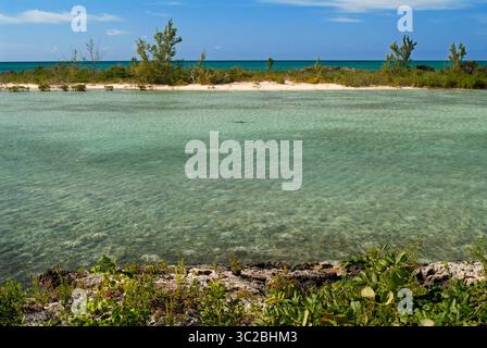 24 mai 2019 : Bahamas : Cat Island, Bahamas. Plage de l'est (Atlantique) zone Pine Bay, Cat Island. (Crédit image : © Sergi Reboredo/ZUMA Wire) Banque D'Images