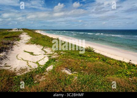 24 mai 2019 : Bahamas : Cat Island, Bahamas. Plage de l'est (Atlantique) zone Pine Bay, Cat Island. (Crédit image : © Sergi Reboredo/ZUMA Wire) Banque D'Images