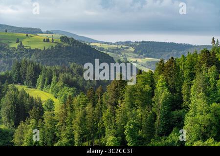 Impression idyllique autour de Schönau dans la Forêt Noire, une ville dans le district de Lörrach dans le Bade-Württemberg, Allemagne Banque D'Images