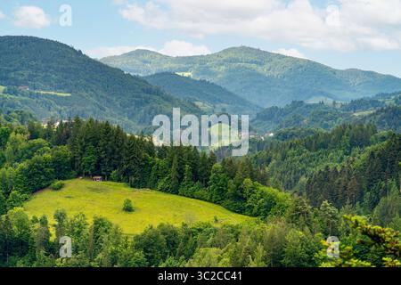 Impression idyllique autour de Schönau dans la Forêt Noire, une ville dans le district de Lörrach dans le Bade-Württemberg, Allemagne Banque D'Images