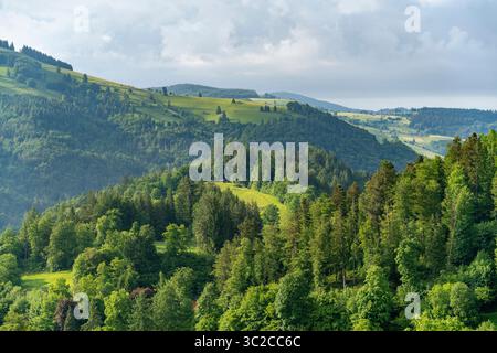Impression idyllique autour de Schönau dans la Forêt Noire, une ville dans le district de Lörrach dans le Bade-Württemberg, Allemagne Banque D'Images