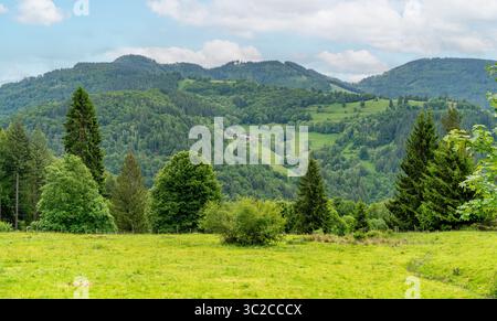 Impression idyllique autour de Schönau dans la Forêt Noire, une ville dans le district de Lörrach dans le Bade-Württemberg, Allemagne Banque D'Images