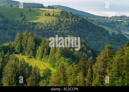 Impression idyllique autour de Schönau dans la Forêt Noire, une ville dans le district de Lörrach dans le Bade-Württemberg, Allemagne Banque D'Images