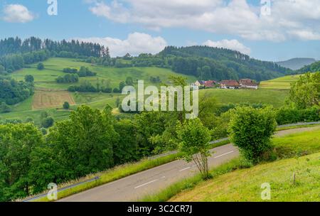 Impression idyllique autour de Schönenberg dans la Forêt-Noire, une municipalité dans le district de Lörrach dans le Bade-Württemberg, Allemagne Banque D'Images