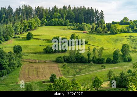 Impression idyllique autour de Schönenberg dans la Forêt-Noire, une municipalité dans le district de Lörrach dans le Bade-Württemberg, Allemagne Banque D'Images
