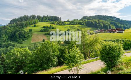 Impression idyllique autour de Schönenberg dans la Forêt-Noire, une municipalité dans le district de Lörrach dans le Bade-Württemberg, Allemagne Banque D'Images