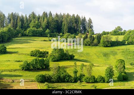 Impression idyllique autour de Schönenberg dans la Forêt-Noire, une municipalité dans le district de Lörrach dans le Bade-Württemberg, Allemagne Banque D'Images