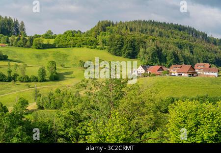 Impression idyllique autour de Schönenberg dans la Forêt-Noire, une municipalité dans le district de Lörrach dans le Bade-Württemberg, Allemagne Banque D'Images