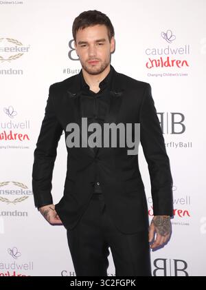 13 juin 2018 - Londres, Royaume-Uni - Liam Payne assiste au Butterfly Ball 2019 à Grosvenor House à Londres (crédit image : © Brett Cove/SOPA images via ZUMA Wire) Banque D'Images