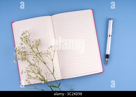 Vue de dessus du bloc-notes et du stylo sur fond bleu Banque D'Images