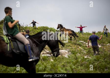 5 juillet 2019 - Estrada, Sabucedo, Espagne - les villageois rassemblent des chevaux sauvages pour leur festival annuel rapa das bestas (apprivoiser les bêtes) à Estrada. Les chevaux sauvages sont capturés dans les collines et emmenés dans le village de Sabucedo pour être tondus et étiquetés dans cette tradition galicienne vieille de plusieurs siècles. (Crédit image : © Diogo Baptista/SOPA images via ZUMA Wire) Banque D'Images
