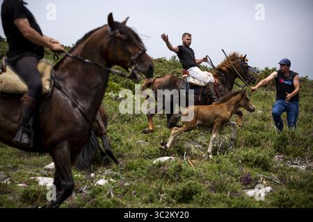 5 juillet 2019 - Estrada, Sabucedo, Espagne - les villageois rassemblent des chevaux sauvages pour leur festival annuel rapa das bestas (apprivoiser les bêtes) à Estrada. Les chevaux sauvages sont capturés dans les collines et emmenés dans le village de Sabucedo pour être tondus et étiquetés dans cette tradition galicienne vieille de plusieurs siècles. (Crédit image : © Diogo Baptista/SOPA images via ZUMA Wire) Banque D'Images