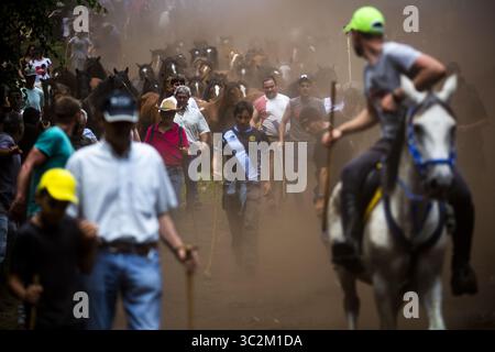 6 juillet 2019 - Sabucedo, Pontevedra, Espagne - des chevaux sauvages sont rassemblés sur les collines pendant le festival Rapa Das Bestas.le Rapa des bêtes, traduit par cisaillement animal, a lieu le premier week-end de juillet pendant quatre jours à Sebucedo, Espagne. Des centaines de chevaux sauvages ont été rassemblés et luttés jusqu'au sol pour un hair-Cu dans le cadre de la tradition. (Crédit image : © Diogo Baptista/SOPA images via ZUMA Wire) Banque D'Images