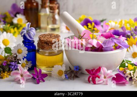 Concept de phytothérapie alternative. Bouteilles de teinture ou de potion, huiles essentielles biologiques, herbes saines sèches, extraits floraux sur table en bois. Pur Banque D'Images