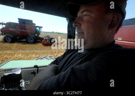 2 août 2019, Maengo, Illinois, USA : vendredi, 2 août 2019 - Marengo, Illinois, États-Unis - JOHN BARTMAN, agriculteur, attend dans une cabine de tracteur, remorquant un chariot à céréales, tandis que JIM AARBE conduit une moissonneuse-batteuse tout en récoltant 50 acres de blé tendre rouge d'hiver sur la ferme de Bartman. Le blé sera utilisé dans les mélanges de pain et de gâteau de bretzel mou et fournira de la paille comme sous-produit. Il sert de récolte de couverture lors de l'établissement d'un champ de foin. (Crédit image : © H. Rick Bamman/ZUMA Wire) Banque D'Images