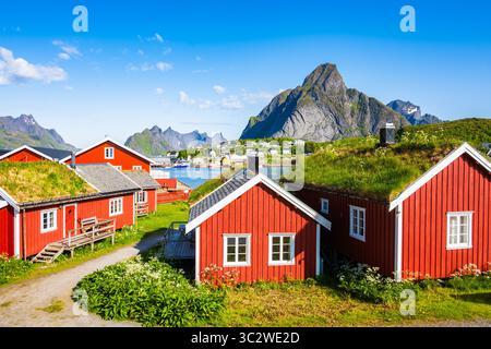 Maisons de type traditionnel rouge utilisées par les pêcheurs dans le village de Reine sur l'île de Moskenesoy en été, îles Lofoten, Norvège Banque D'Images
