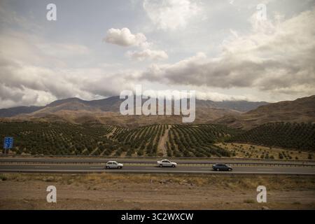 8 août 2019, Gilan, IRAN : une vue de la nature autour du train touristique Téhéran-Rasht en Iran. Le chemin de fer Astara-Rasht-Qazvin est un corridor de transport qui relie les chemins de fer existants de Russie, Azerbaïdjan et Iran. Le projet est réalisé dans le cadre du corridor de transport international Nord-Sud. Le but du projet est d'intégrer les voies de transport et d'information de la Russie, de l'Azerbaïdjan, de l'Iran et de l'Inde. (Crédit image : © Rouzbeh Fouladi/ZUMA Wire) Banque D'Images