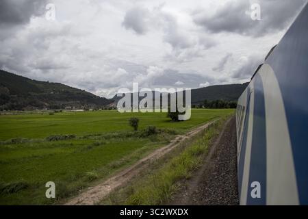 8 août 2019, Gilan, IRAN : une vue de la nature autour du train touristique Téhéran-Rasht en Iran. Le chemin de fer Astara-Rasht-Qazvin est un corridor de transport qui relie les chemins de fer existants de Russie, Azerbaïdjan et Iran. Le projet est réalisé dans le cadre du corridor de transport international Nord-Sud. Le but du projet est d'intégrer les voies de transport et d'information de la Russie, de l'Azerbaïdjan, de l'Iran et de l'Inde. (Crédit image : © Rouzbeh Fouladi/ZUMA Wire) Banque D'Images