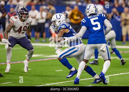 24 août 2019, Indianapolis, Indiana, États-Unis : le quarterback des Colts d'Indianapolis Phillip Walker (5) remet le ballon au Running back Charcandrick West (36) des Colts d'Indianapolis lors de la seconde moitié du match entre les Bears de Chicago et les Colts d'Indianapolis au Lucas Oil Stadium, Indianapolis, Indiana. (Crédit image : © Scott Stuart/ZUMA Wire) Banque D'Images
