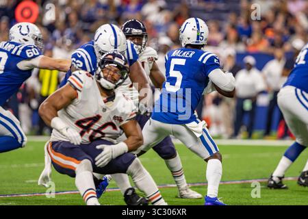 24 août 2019, Indianapolis, Indiana, États-Unis : le quarterback des Colts d'Indianapolis Phillip Walker (5) passe de la poche pendant la seconde moitié du match entre les Bears de Chicago et les Colts d'Indianapolis au Lucas Oil Stadium, Indianapolis, Indiana. (Crédit image : © Scott Stuart/ZUMA Wire) Banque D'Images