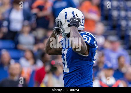 24 août 2019, Indianapolis, Indiana, États-Unis : la défensive des Colts d'Indianapolis Jihad Ward (51) célèbre son sac du quarterback dans la première moitié du match entre les Bears de Chicago et les Colts d'Indianapolis au Lucas Oil Stadium, Indianapolis, Indiana. (Crédit image : © Scott Stuart/ZUMA Wire) Banque D'Images