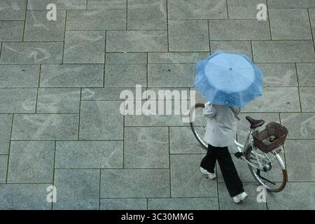 Francfort, Hesse, Allemagne. 24 juillet 2025. Une femme se protège de la pluie avec un parapluie dans le centre de Francfort, en Allemagne. (Crédit image : © Matias Basualdo/ZUMA Press Wire) USAGE ÉDITORIAL SEULEMENT ! Non destiné à UN USAGE commercial ! Banque D'Images