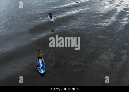 Francfort, Hesse, Allemagne. 24 juillet 2025. Les gens montent des stand-up paddleboards sur la rivière main à Francfort, en Allemagne. (Crédit image : © Matias Basualdo/ZUMA Press Wire) USAGE ÉDITORIAL SEULEMENT ! Non destiné à UN USAGE commercial ! Banque D'Images