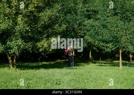 homme plus âgé randonnée en randonnée en prenant raccourci à travers le jardin dans la campagne rurale zala comté hongrie Banque D'Images