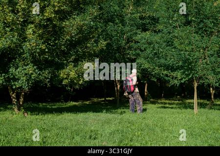 homme plus âgé randonnée en randonnée en prenant raccourci à travers le jardin dans la campagne rurale zala comté hongrie Banque D'Images