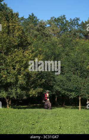 homme plus âgé randonnée en randonnée en prenant raccourci à travers le jardin dans la campagne rurale zala comté hongrie Banque D'Images