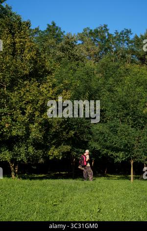 homme plus âgé randonnée en randonnée en prenant raccourci à travers le jardin dans la campagne rurale zala comté hongrie Banque D'Images