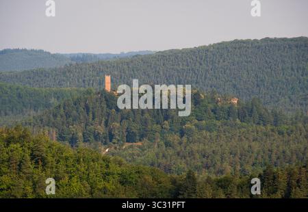 Une ruine de tour de château distant s'élève au-dessus de la canopée de la forêt sur une colline voisine des Vosges, vue depuis le Château du Falkenstein, France. Banque D'Images