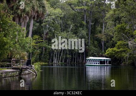 18 juillet 2019, Silver Springs, FL, États-Unis : la visite en bateau à fond de verre est une attraction populaire au parc d'État de Silver Springs en Floride. (Crédit image : © TNS via ZUMA Wire) Banque D'Images