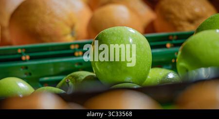 Gros plan de pommes vertes et d'oranges disposées dans des caisses en plastique vert dans un marché ou une épicerie. L'image est en format large. Banque D'Images